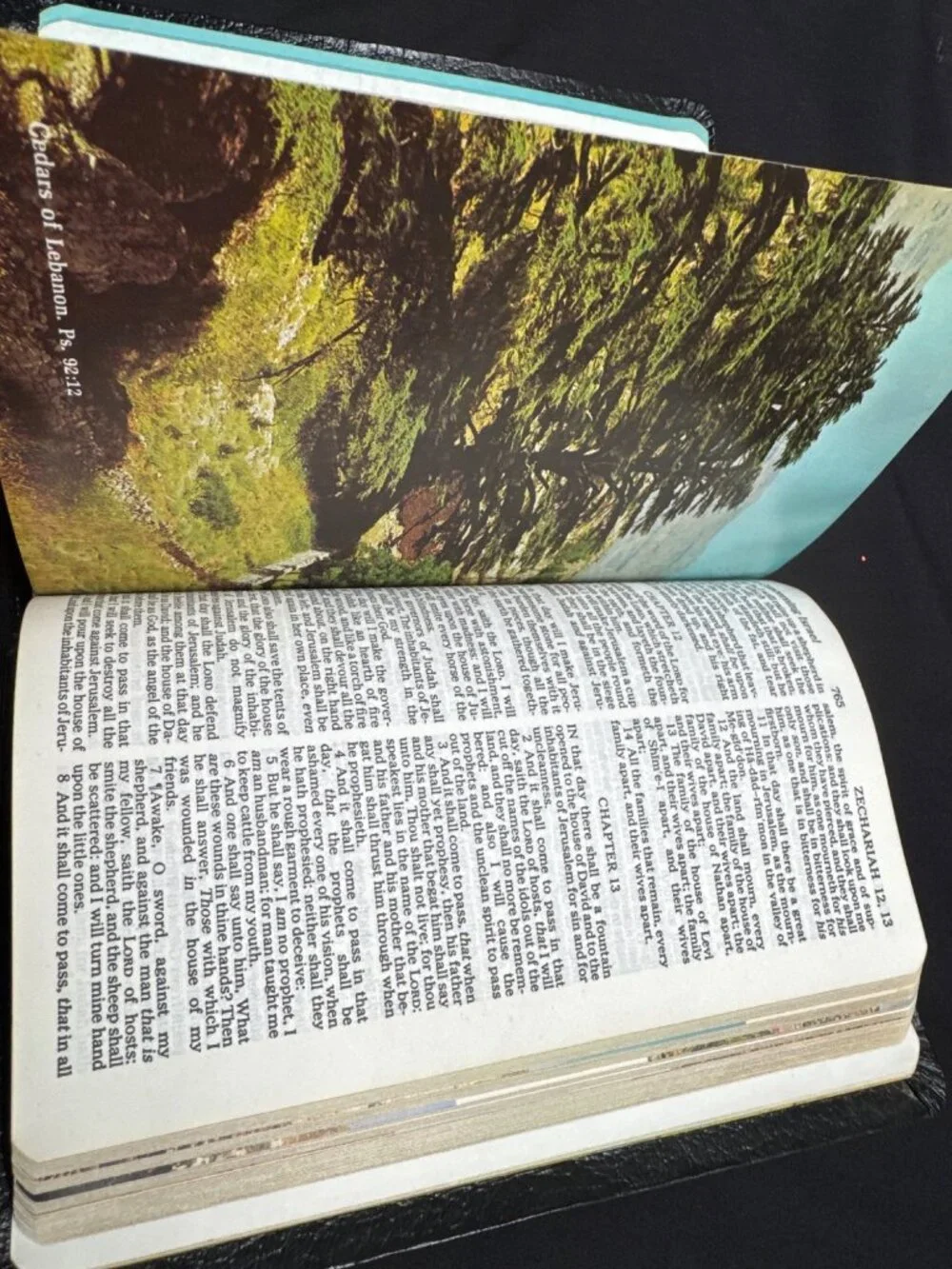 The Holy Bible King James READ Version Red Letter Edition Family Records Section